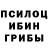 Псилоцибиновые грибы GOLDEN TEACHER Dmitry Mishin