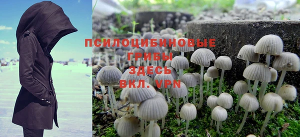 меф Арсеньев