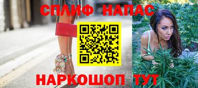 дурь Тара