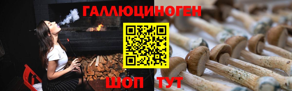 где можно купить   Псилоцибиновые грибы MAGIC MUSHROOMS  Вход с VPN  Раменское 